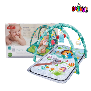 Play Gym Mat